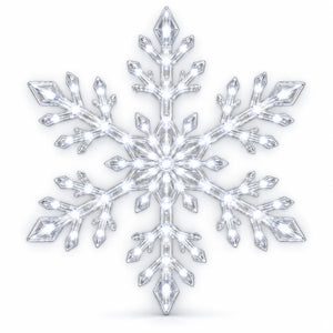 Snowflake LED Wall Set